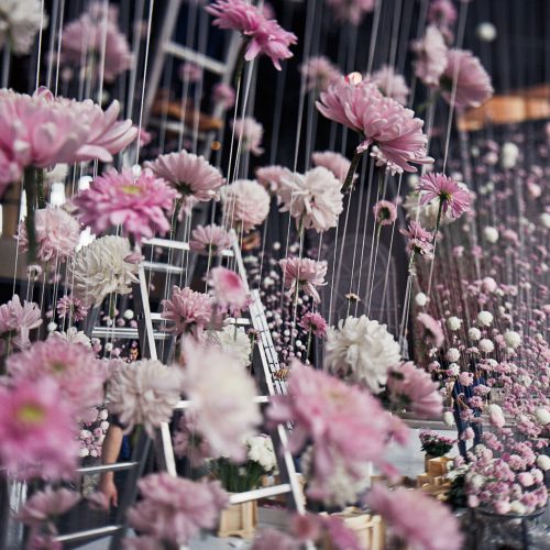 pink-chrysanthemums-hang-threads-from-ceiling-dinner-hall