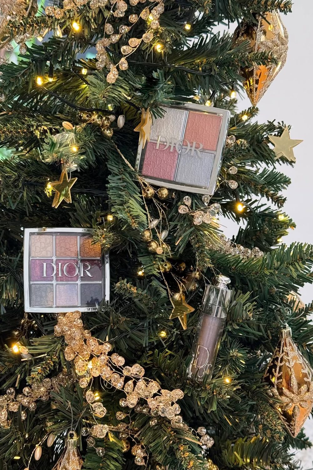 468675545_2795131430691513_3407555508556035722_n